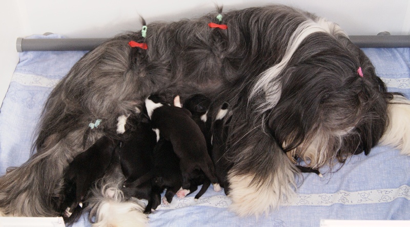 Les bébés de Deanna et Auguste ont 1 semaine